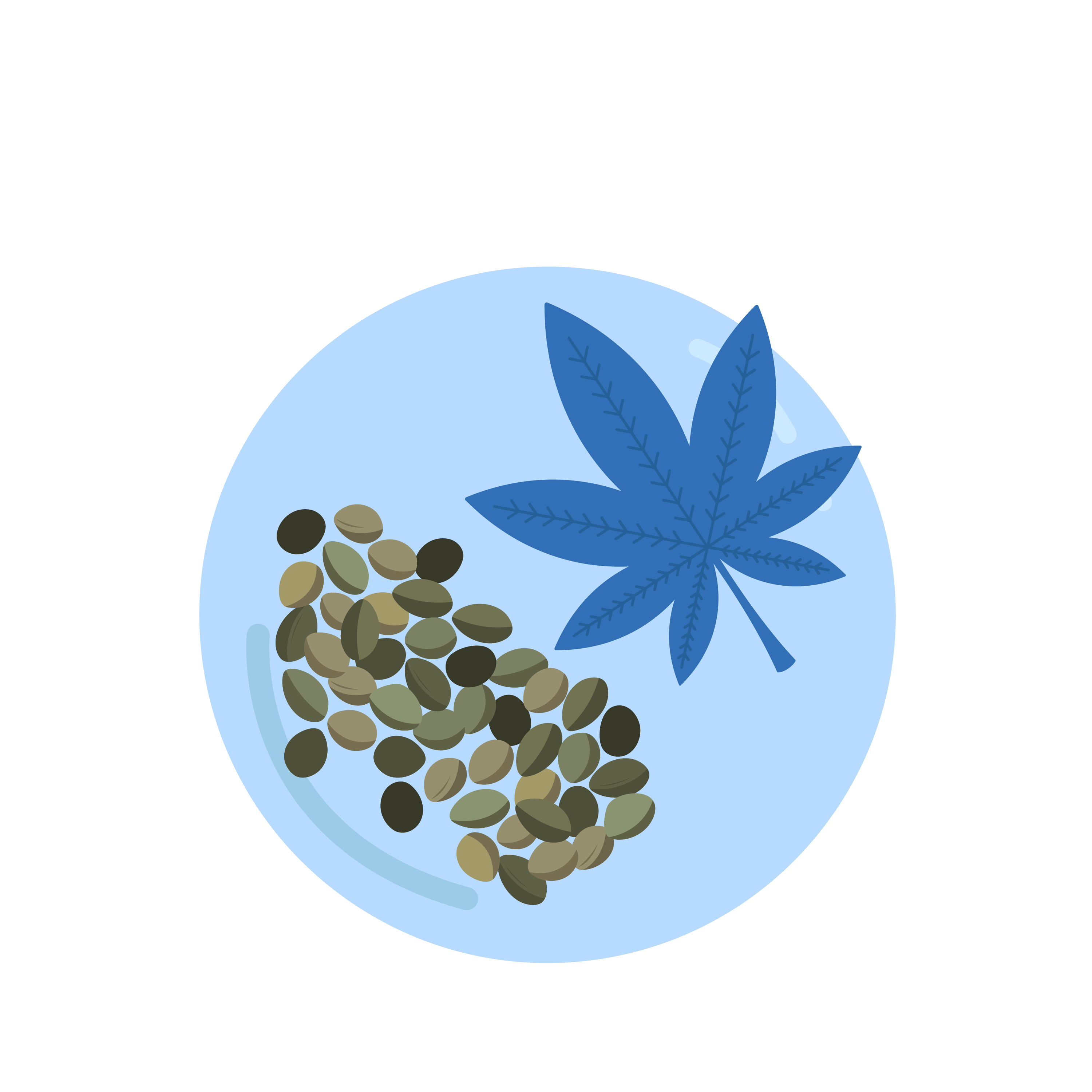 olej%20konopny.png?1701342917909