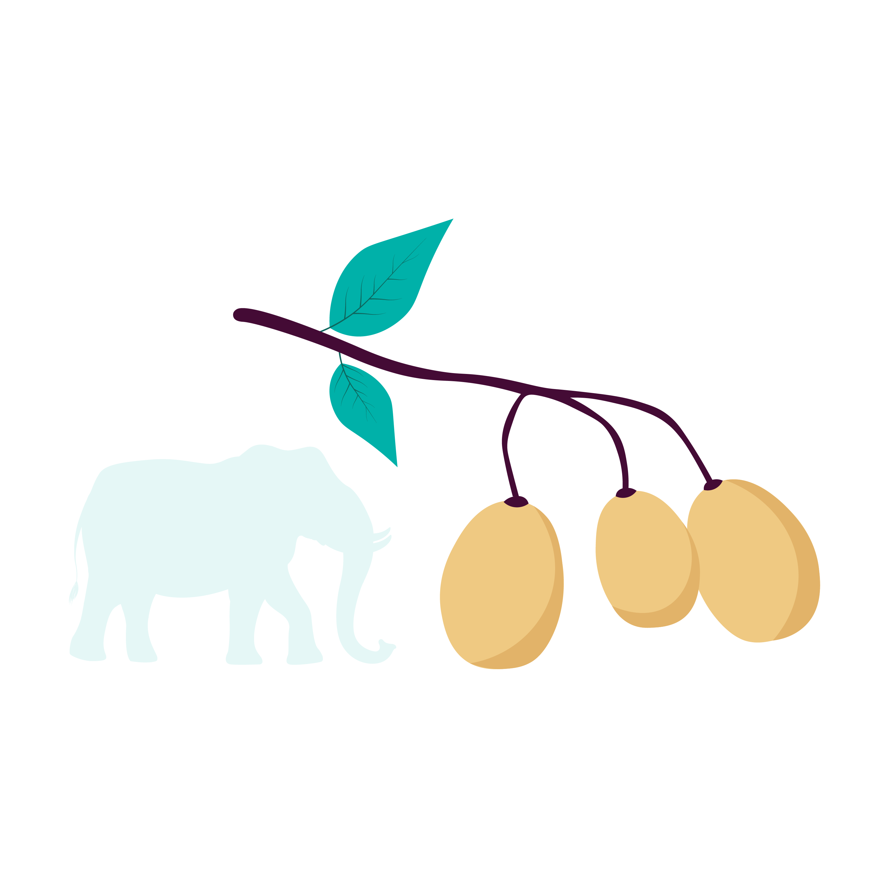 olej-marula.png?1701342962116