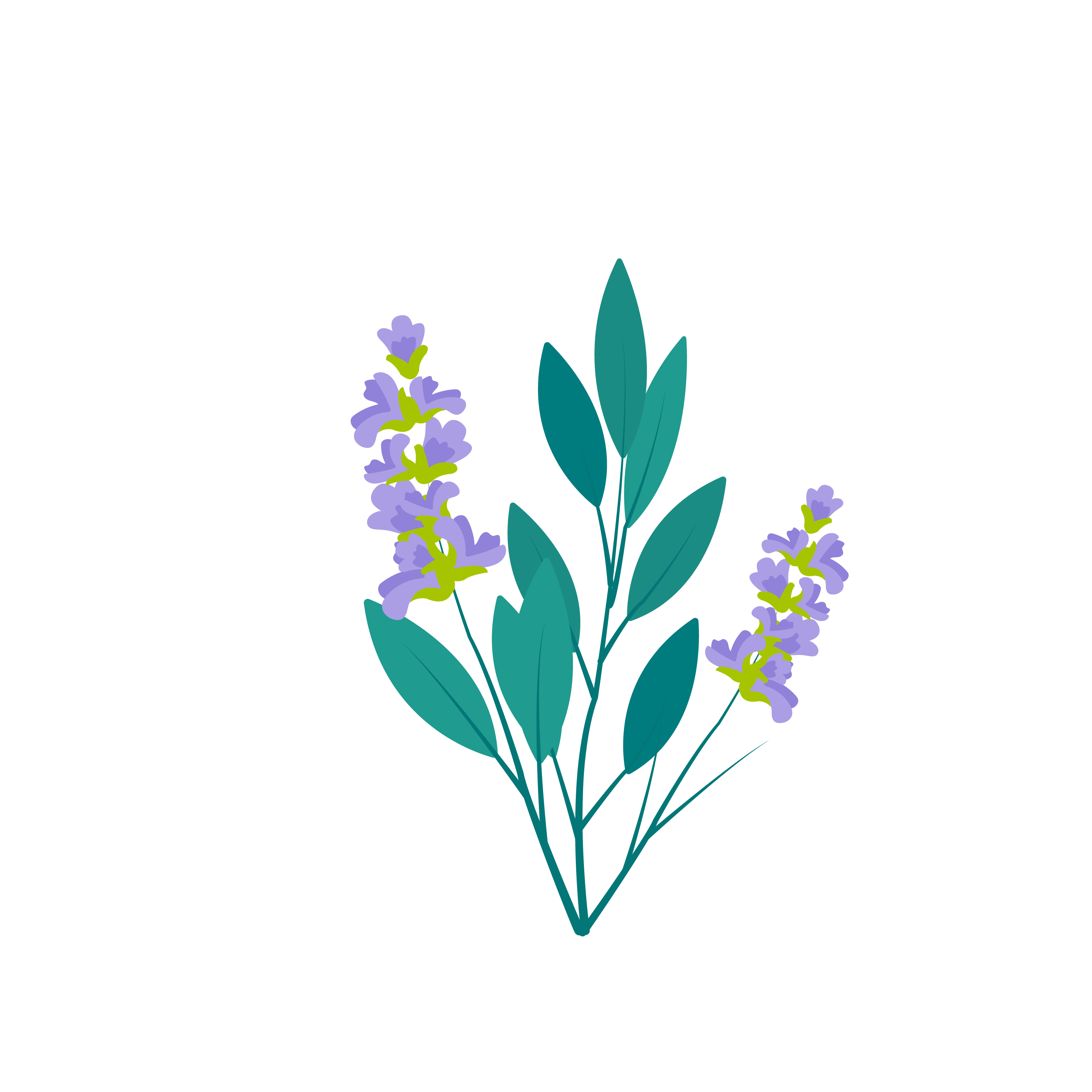 szalwia.png?1701688050751